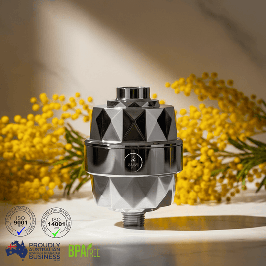 Shower Mate by HolyH₂O™ | Compact Shower Filter - HolyH2O