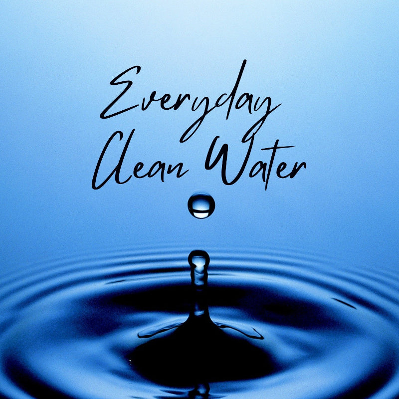 Everyday Clean Water bundle with Shower Mate, Shower Max and Bath Mate