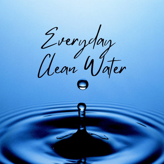 Everyday Clean Water bundle with Shower Mate, Shower Max and Bath Mate